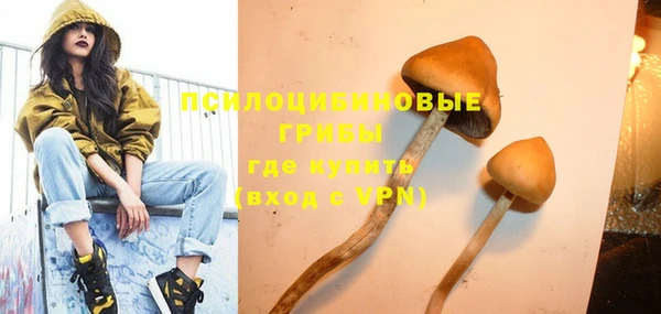 эйфоретик Михайлов