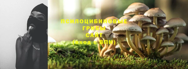 PSILOCYBIN Гусиноозёрск