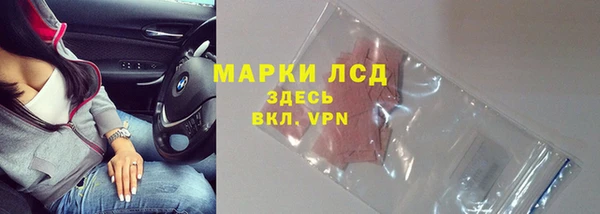мяу мяу мука Михайловск