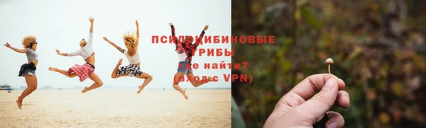 мяу мяу мука Михайловск