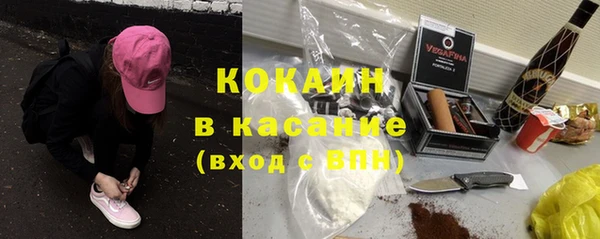 мяу мяу мука Михайловск