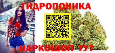 мяу мяу мука Гусиноозёрск