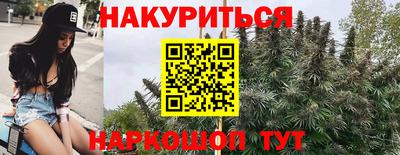 крисы Будённовск