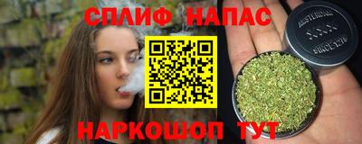 крисы Будённовск