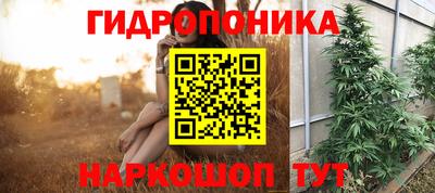 кокс Гусь-Хрустальный