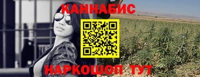 spice Гусев