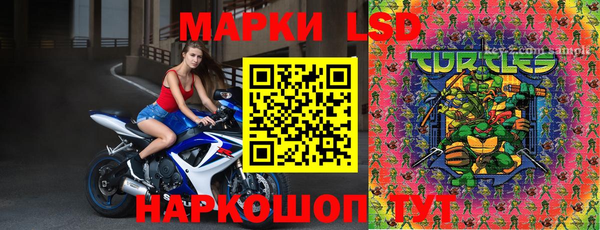 Наркотические марки 1,5мг Кингисепп