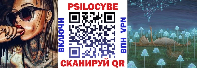 blacksprut вход  цена   мориарти формула  Псилоцибиновые грибы Magic Shrooms  Кингисепп 
